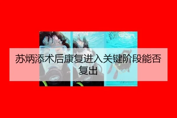 苏炳添术后康复进入关键阶段能否复出