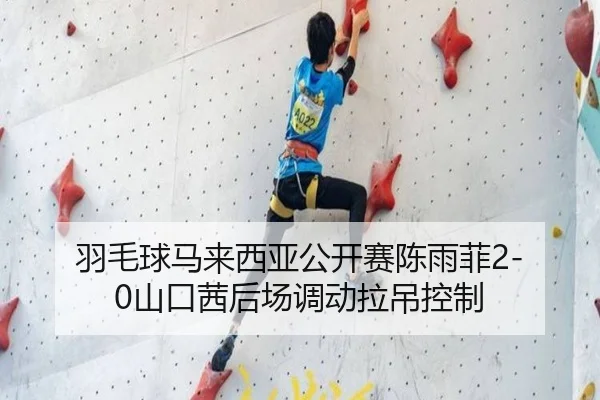 yu-mao-qiu-ma-lai-xi-ya-gong-kai-sai-chen-yu-fei-shan-kou-qian-hou-chang-diao-dong-la-diao-kong-zhi-3-453.jpg