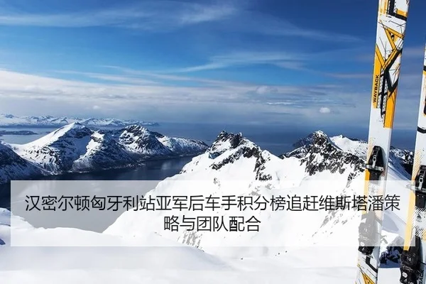 han-mi-er-dun-xiong-ya-li-zhan-ya-jun-hou-che-shou-ji-fen-bang-zhui-gan-wei-si-ta-pan-ce-lve-yu-tuan-dui-pei-he-2-740.jpg