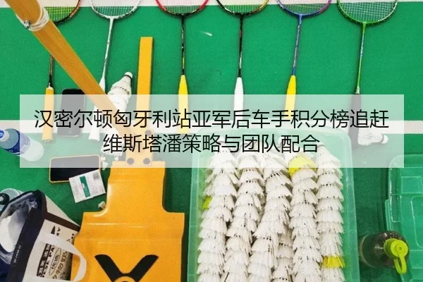 汉密尔顿匈牙利站亚军后车手积分榜追赶维斯塔潘策略与团队配合