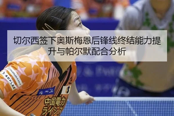 qie-er-xi-qian-xia-ao-si-mei-en-hou-feng-xian-zhong-jie-neng-li-ti-sheng-yu-pa-er-mo-pei-he-fen-xi-3-324.jpg