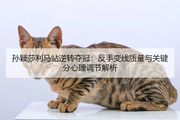 孙颖莎利马站逆转夺冠：反手变线质量与关键分心理调节解析
